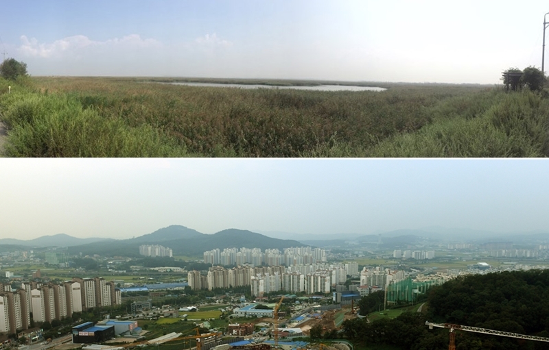 [현장르포] 수원 군공항 이전 1순위 화성호 간척지 가보니
