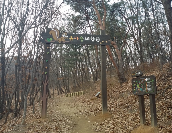 남양주 진영공원 유아숲체험원 3월 오픈