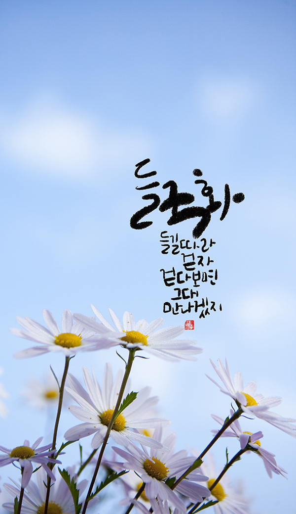 [박민용의 캘리산책] 들국화