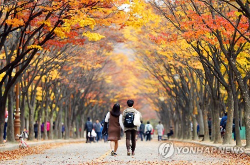 [주말 수도권 가볼만한 곳] 단풍 명소 인천대공원·수원 아주대 드론 축제·의정부예술의 전당 쓰리 디바 공연
