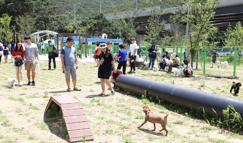 아이누리놀이터 반려동물 동반 애견카페