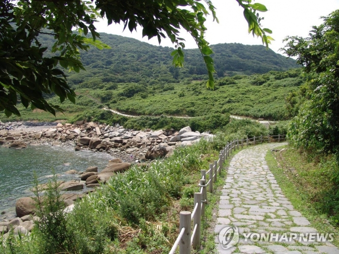 [주말 충청권 가볼만한 곳] 봄기운 가득한 보령 외연도 둘레길 인기…청양군 광역시티투어도 추천