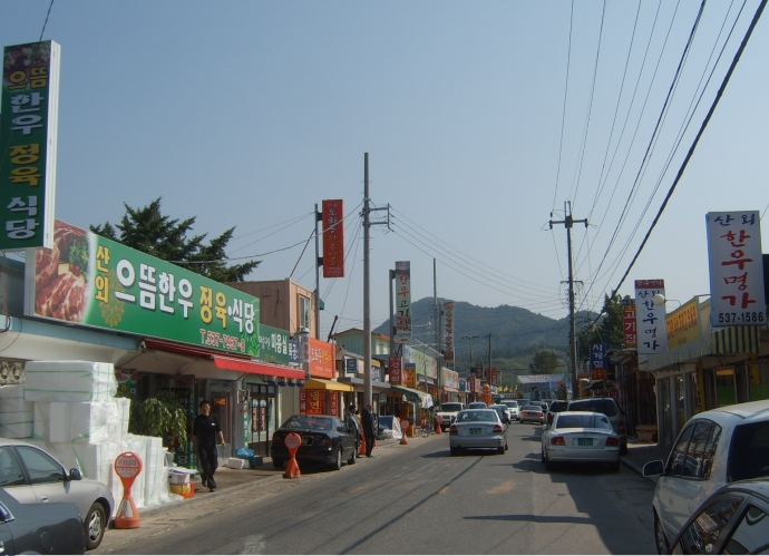 [정경연 풍수기행] 정읍 산외면 평사리 한우거리, 들판에 기러기 내려앉은 형태 평사낙안