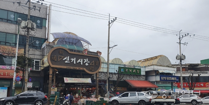 흉물 된 인천 신기시장 앞 가로수… 과도한 가지치기로 몸통만 남아