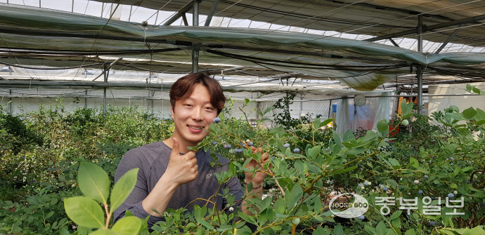 [행복한 청년농부] 단순 재배 넘어 융복합 관관농업단지 만들 것 우정블루베리농원 후계농 심세용씨