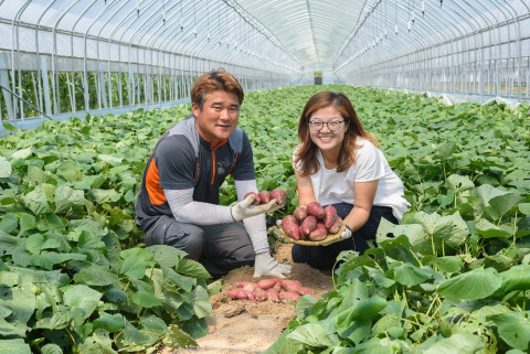 [사람in] 농협중앙회 새 농민상 권슬기·김수진 부부 맛있는 여주고구마 연구 중입니다