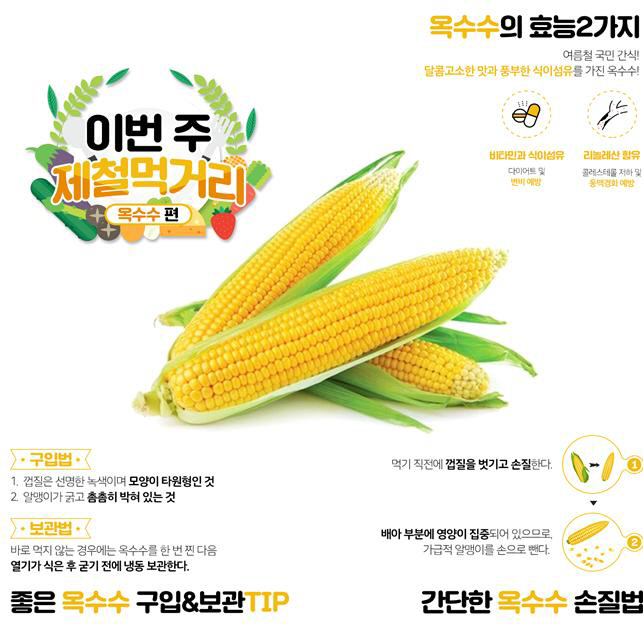 aT 인천본부, 이번 주 먹거리로 옥수수 추천…다이어트·변비 예방 등 효과