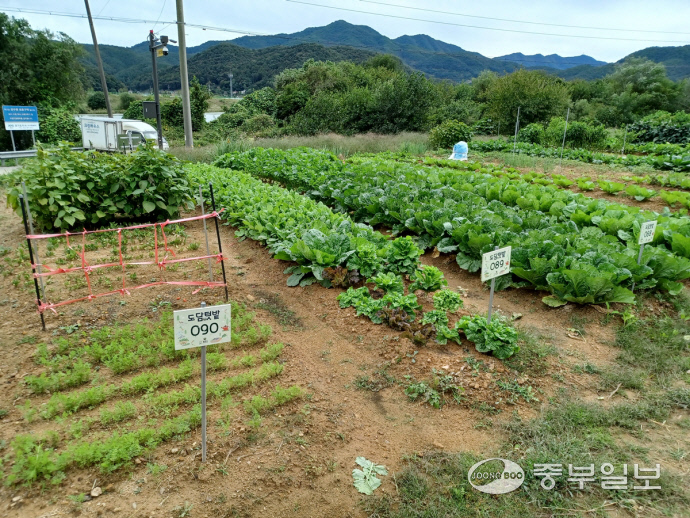 광주시, 공영도시농업농장 도담텃밭 분양자 모집