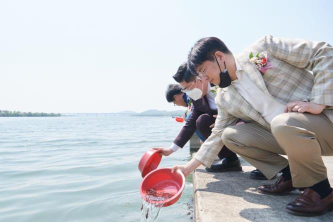 여주시·(주)세방, 이포보·여주보·강천보 일대에 동자개 방류…어업인 소득증대 기대