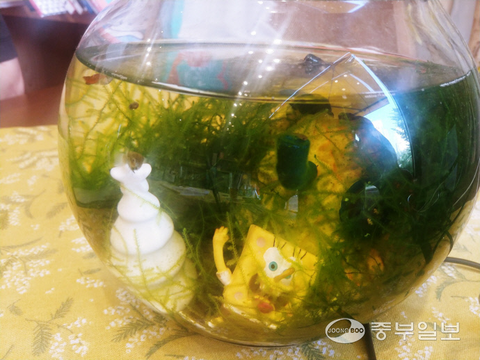 [우리동네 책방여행] 북적북적 키즈존 책 속에서 꿈을 찾다...고양 이야호우북스