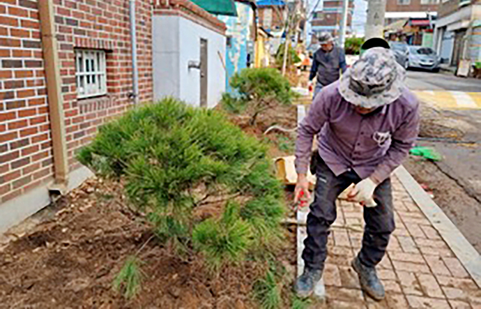 쾌적한 녹지환경 조성… 인천 동구, 금창동 걷고 싶은 거리 조성 마쳐