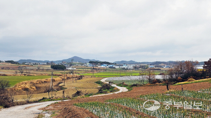 [김기자의 로드트레킹-서해랑길④] 순탄한 길 끝 가파른 오르막… 빗속에서 걸은 서해랑 4코스