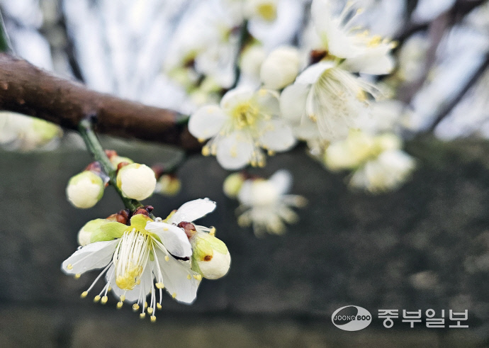 [김기자의 로드트레킹-서해랑길④] 순탄한 길 끝 가파른 오르막… 빗속에서 걸은 서해랑 4코스