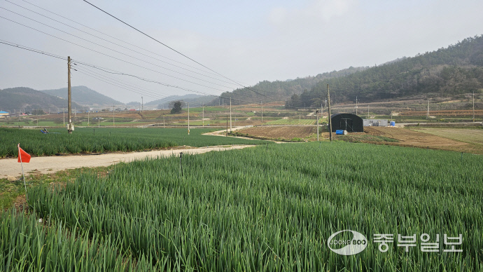 [김기자의 로드트레킹-서해랑길⑪] 진도 정체성 제대로 담긴 22km의 서해랑 8코스