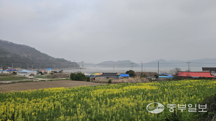[김기자의 로드트레킹-서해랑길⑪] 진도 정체성 제대로 담긴 22km의 서해랑 8코스
