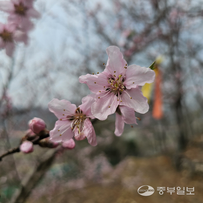 [김기자의 로드트레킹-서해랑길⑪] 진도 정체성 제대로 담긴 22km의 서해랑 8코스
