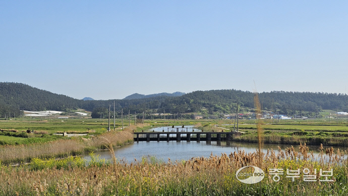 [김기자의 로드트레킹-서해랑길⑭] 본격적으로 시작된 서해랑길 10코스