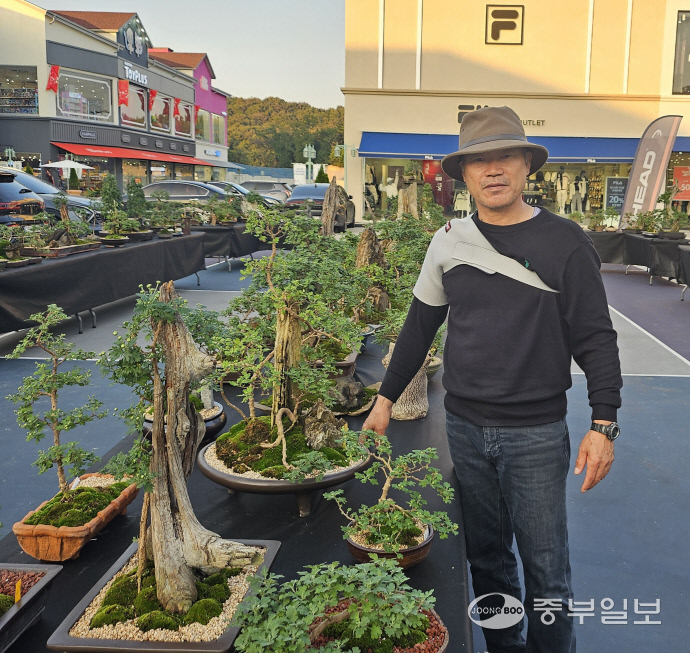 오는 19일부터 여주프리미엄빌리지서 여주시관상국화전시회 개최