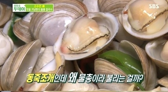 생방송 투데이 물총 칼국수, 맛집의 비결은 조개?