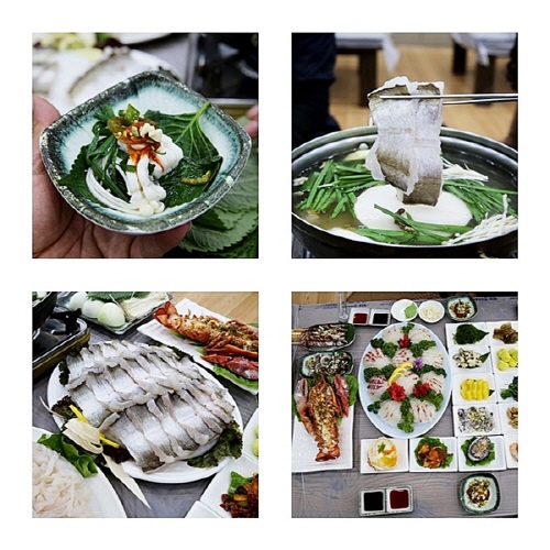여수여행, 하모샤브샤브 맛집이 빠지면 섭섭해…돌산해수타운횟집