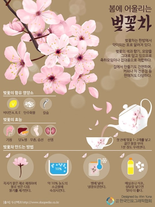 [인포그래픽] 봄에 어울리는 벚꽃차