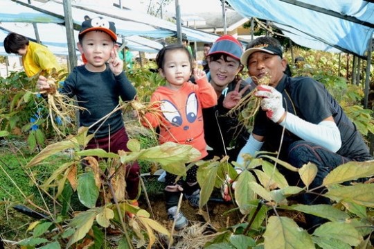 증평인삼골축제