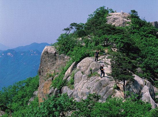 속리산국립공원, 대야산 탐방로 개방
