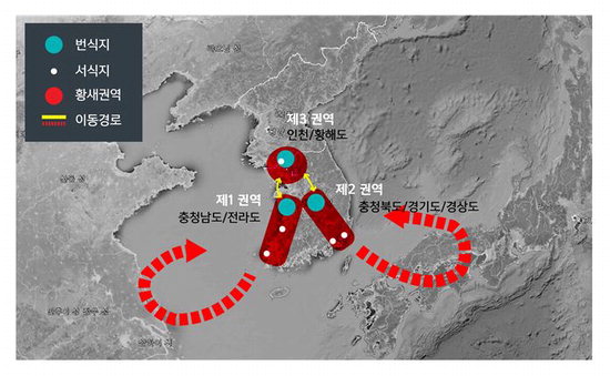 청주 미호천에도 천연기념물 황새 복원한다