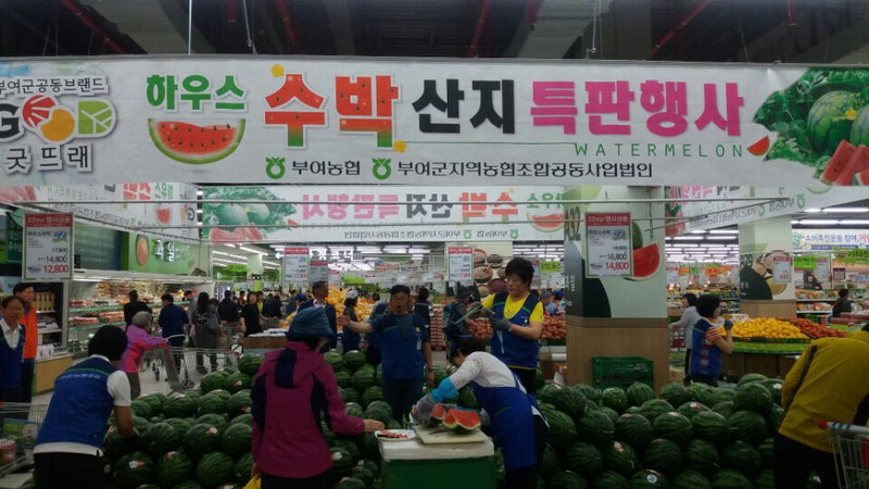 부여 굿뜨래 수박, 소비자 판매 촉진행사 개최