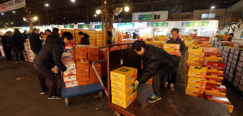 새벽녘 분주한 경매장… 값 싸고 질 좋은 청과물 낙찰땐 뿌듯