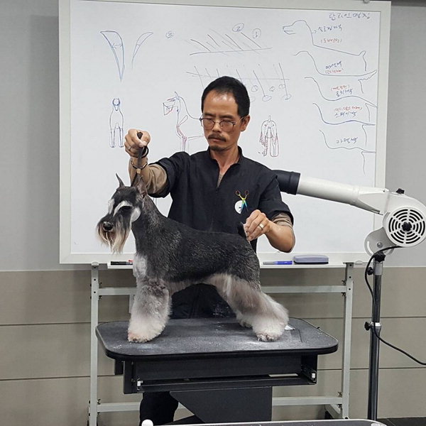 펫산업이 뜬다 - 탑애견미용학원 조재구 대표