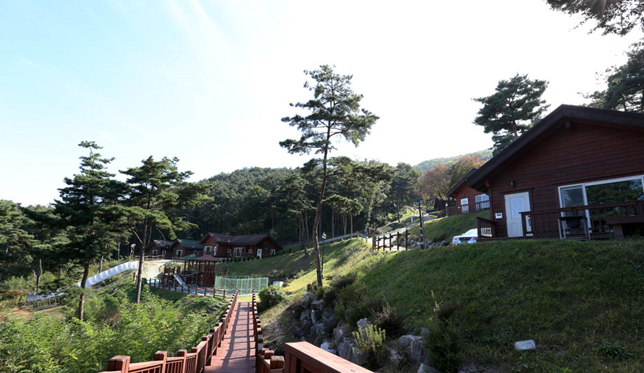 WEEK+ 봉수산 자연휴양림