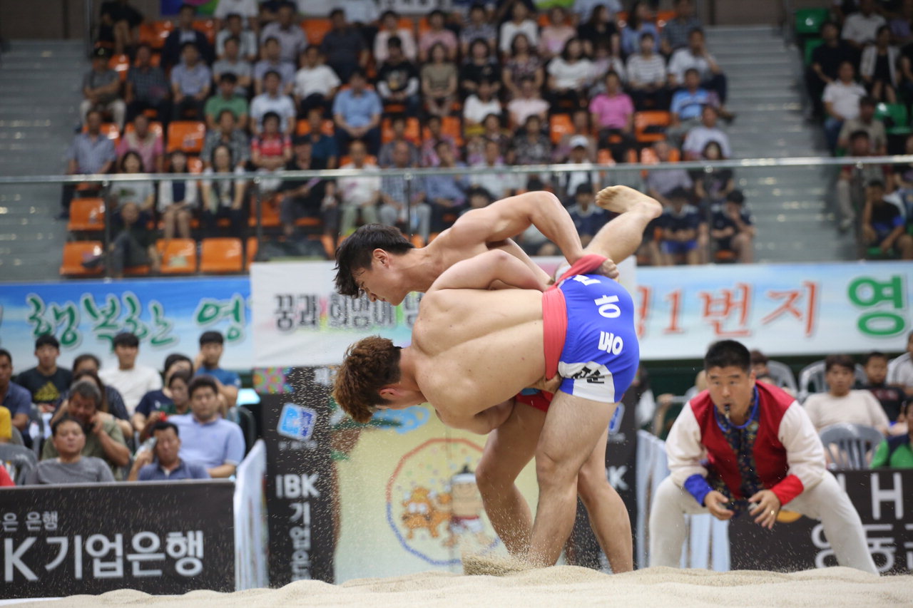 영동서 모래판의 숨은 고수 가린다