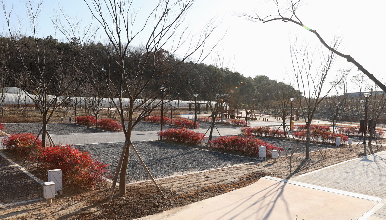 대전 유성구, 도심속 여가공간 하기숲 캠핑장 내년 3월 개장