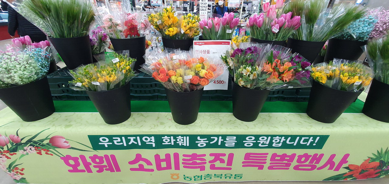 충북농협, 화훼소비촉진 캠페인 전개