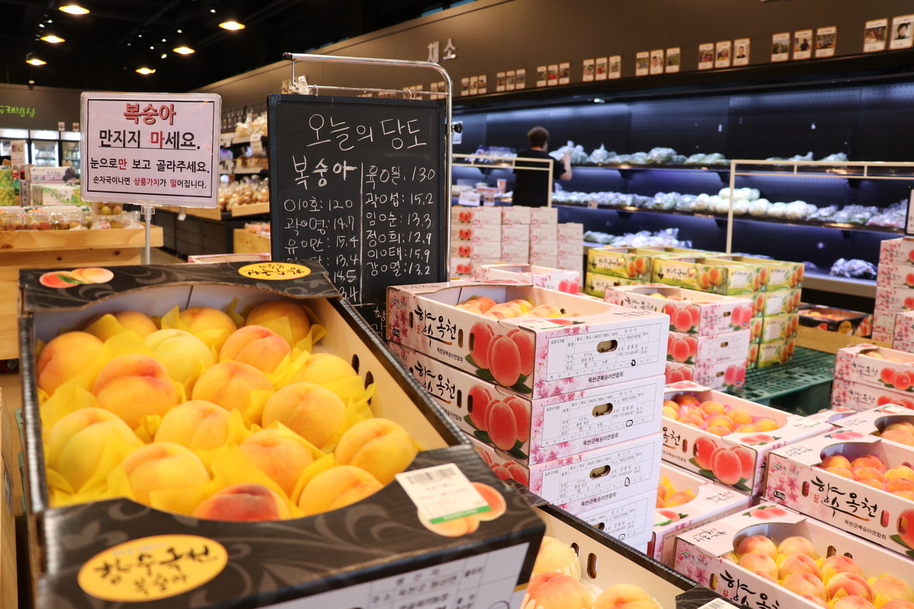 건강먹거리 옥천 과일·농산물 맛보세요