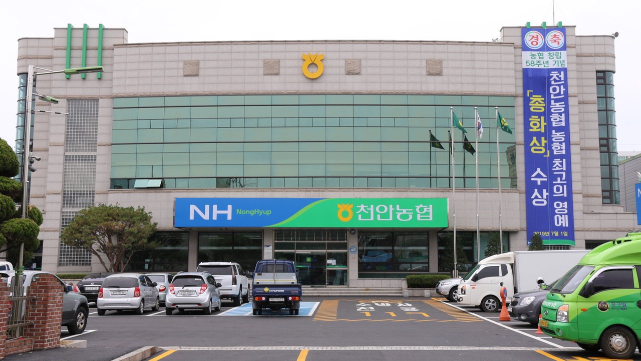 농가 상생에 진심 설립 51주년 맞는 천안농협