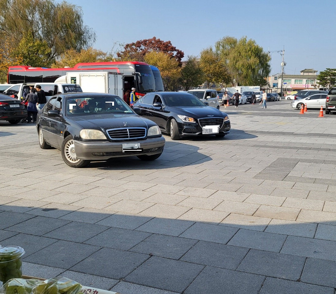 최고 방문객 경신… 부여국화축제 흥행대박 예감