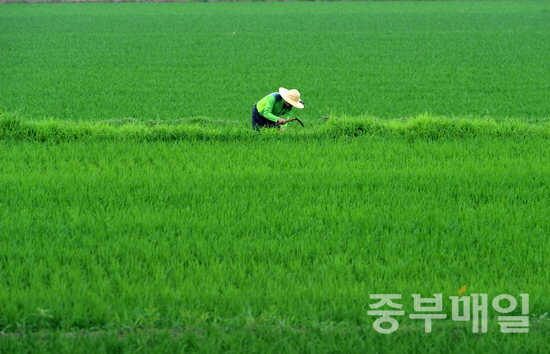 청주시, 55억원 투입 영농자재 조기 지원