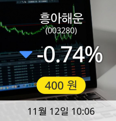 [흥아해운주가] 12일 현재 400원