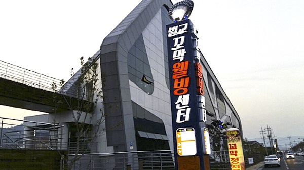 벌교꼬막맛집 장도웰빙꼬막정식, 다양한 꼬막요리로 사랑받아
