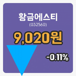 [황금에스티주가] 28일 이시각 현재  9,020원