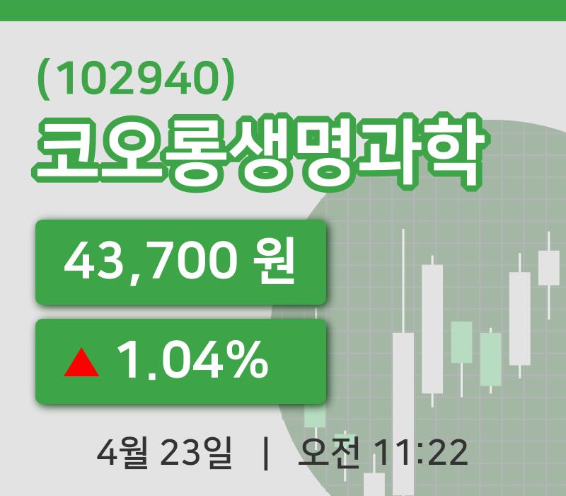 [코오롱생명과학주가] 23일 이시각 현재  43,700원