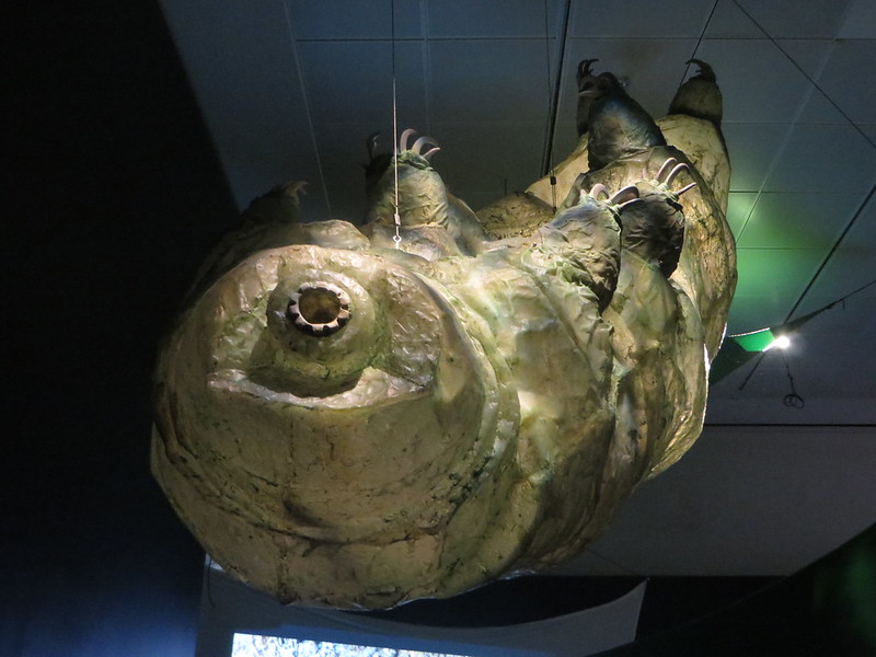 어디서나 살아남는 ‘물곰’…외관부터 수명까지