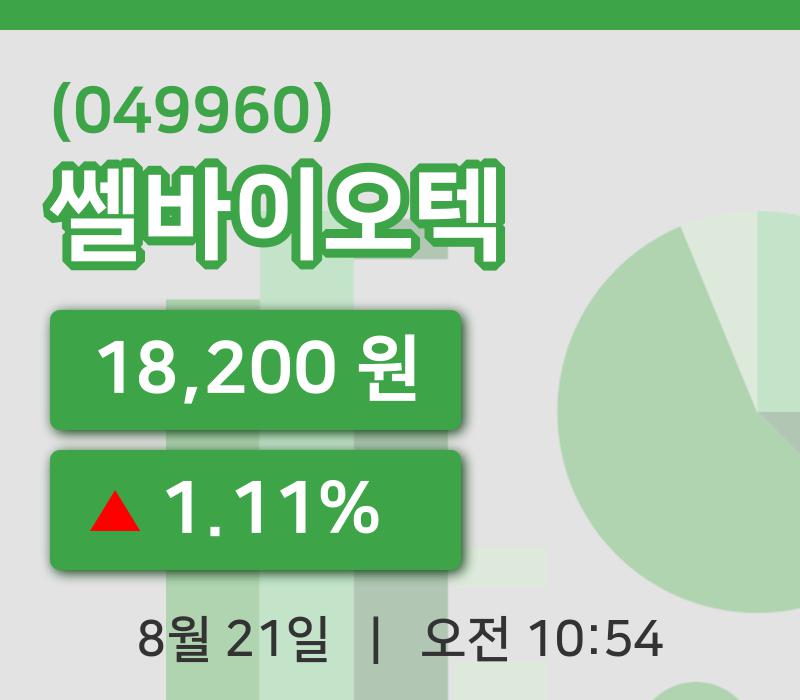 [쎌바이오텍주가] 21일 10시 54분 현재 18,200원