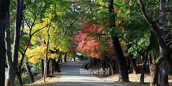 늦가을 여행은 부여로 각종 행사 풍성