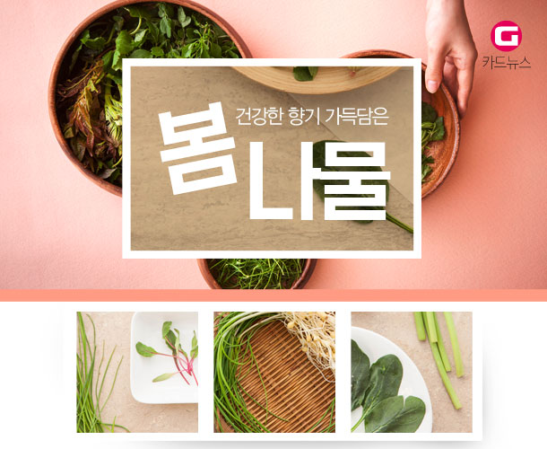 [g-카드뉴스] 입 안 가득 향긋한 너… 봄나물이구나!