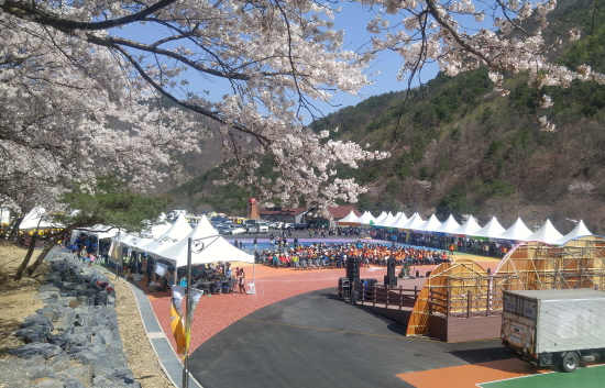 충남 금산 산꽃벚꽃마을 오토캠핑장 5월 개장