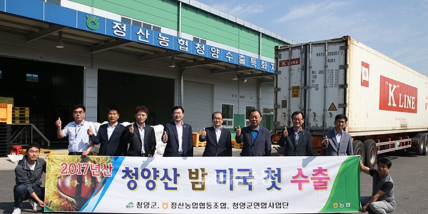 청양 칠갑산 알밤 20톤 미국 수출 길