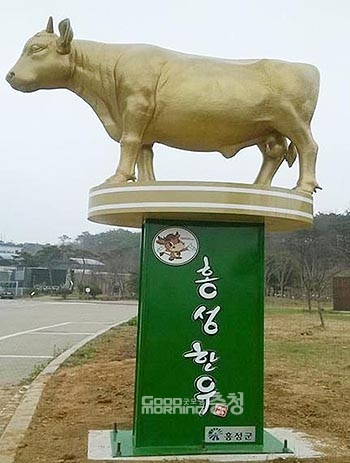 홍성군, 한우 경쟁력 강화 나선다